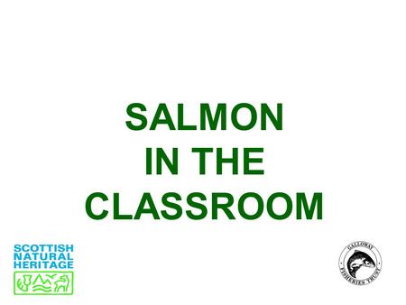 SALMON IN THE CLASSROOM. What are Atlantic salmon? Atlantic salmon, Salmo salar, are a native freshwater fish species. Salmon begin their life in freshwater.