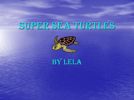Super Sea Turtles By Lela Fact #1 Some fish eat allege off sea a sea turtle’s carapis. Some fish eat allege off sea a sea turtle’s carapis. Its good.