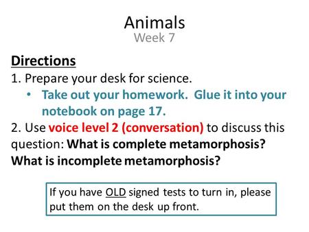 Animals Week 7 Directions 1. Prepare your desk for science. Take out your homework. Glue it into your notebook on page 17. 2. Use voice level 2 (conversation)