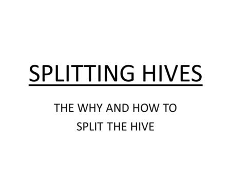 THE WHY AND HOW TO SPLIT THE HIVE
