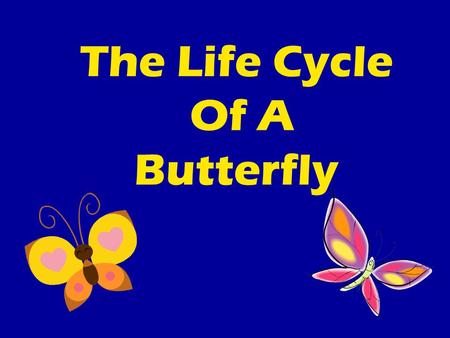 The Life Cycle Of A Butterfly. Check It Out!  WMIh0http://www.youtube.com/watch?v=cAUSKx WMIh0.