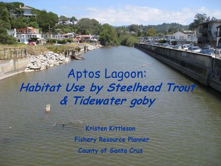 Aptos Lagoon: Habitat Use by Steelhead Trout & Tidewater goby Kristen Kittleson Fishery Resource Planner County of Santa Cruz.