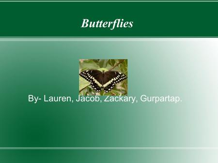 Butterflies By- Lauren, Jacob, Zackary, Gurpartap.