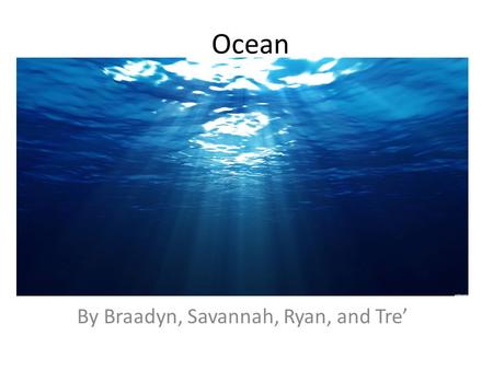 Ocean By Braadyn, Savannah, Ryan, and Tre’. Clown fish One basic need is they use gills to breathe. They have stripes all over their bodies. Clown fish.