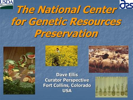 The National Center for Genetic Resources Preservation Dave Ellis Curator Perspective Fort Collins, Colorado USA.