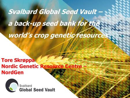 Svalbard Global Seed Vault – a back-up seed bank for the world’s crop genetic resources Tore Skrøppa Nordic Genetic Resource Centre – NordGen.