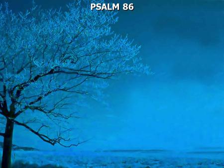 PSALM 86.