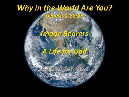 Why in the World Are You? Genesis 1:26-28