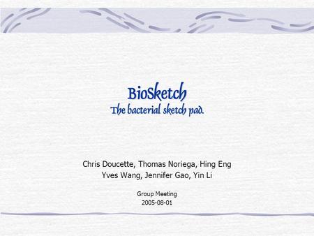 BioSketch The bacterial sketch pad. Chris Doucette, Thomas Noriega, Hing Eng Yves Wang, Jennifer Gao, Yin Li Group Meeting 2005-08-01.