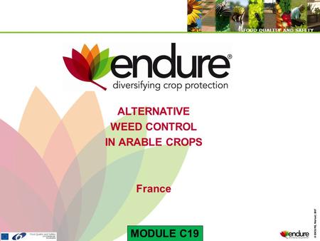 © ENDURE, February 2007 FOOD QUALITY AND SAFETY © ENDURE, February 2007 FOOD QUALITY AND SAFETY ALTERNATIVE WEED CONTROL IN ARABLE CROPS France MODULE.