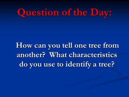Question of the Day: How can you tell one tree from another? What characteristics do you use to identify a tree?