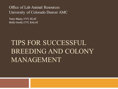 TIPS FOR SUCCESSFUL BREEDING AND COLONY MANAGEMENT Office of Lab Animal Resources University of Colorado Denver AMC Tracy Haney, CVT, RLAT Holly Goold,