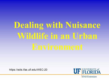 Dealing with Nuisance Wildlife in an Urban Environment https://edis.ifas.ufl.edu/WEC-20.