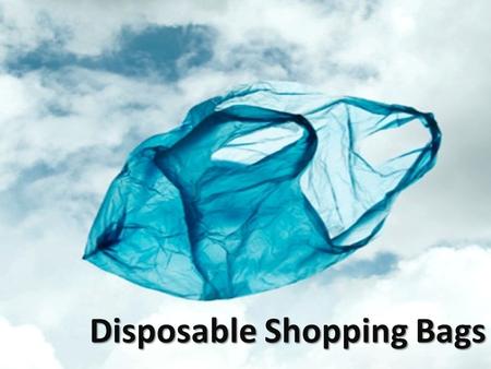 Disposable Shopping Bags. Why the Plastic Bag? Easy & Convenient Cheap Reusable (?)