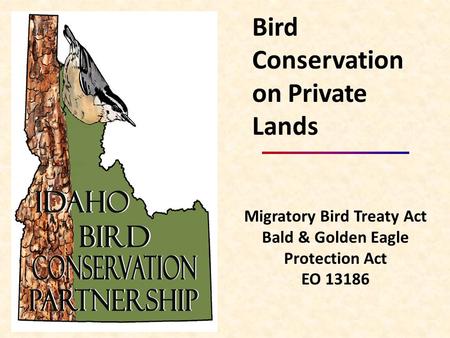 Migratory Bird Treaty Act Bald & Golden Eagle Protection Act EO 13186 Bird Conservation on Private Lands.
