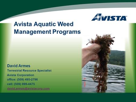 Avista Aquatic Weed Management Programs David Armes Terrestrial Resource Specialist Avista Corporation office: (509) 495-2796 cell: (509) 999-4475