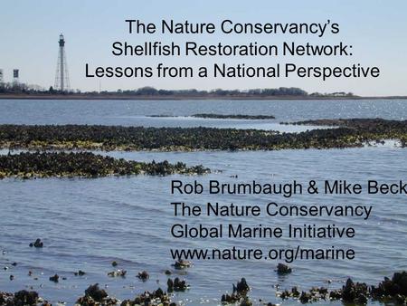 Rob Brumbaugh & Mike Beck The Nature Conservancy Global Marine Initiative www.nature.org/marine The Nature Conservancy’s Shellfish Restoration Network:
