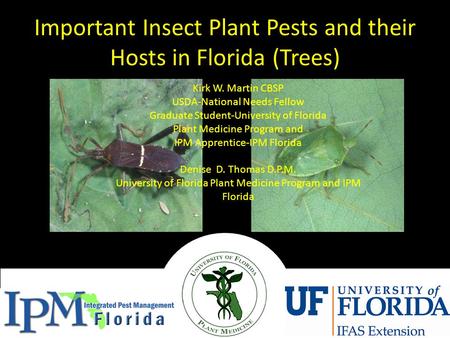 Important Insect Plant Pests and their Hosts in Florida (Trees) Kirk W. Martin CBSP USDA-National Needs Fellow Graduate Student-University of Florida Plant.