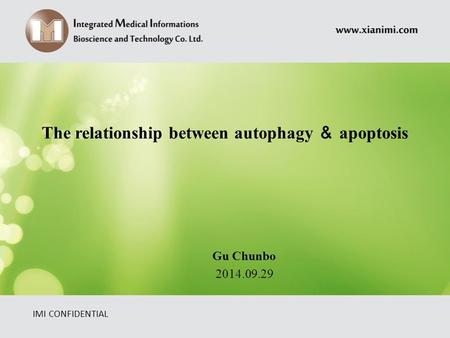 The relationship between autophagy ＆ apoptosis IMI CONFIDENTIAL Gu Chunbo 2014.09.29.