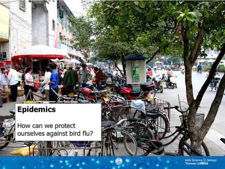 Epidemics How can we protect ourselves against bird flu?