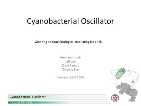 Harvard iGEM 2006 Cyanobacterial Oscillator Hetmann Hsieh Jeff Lau Dave Ramos Zhipeng Sun Harvard iGEM 2006 Creating a robust biological oscillating biobrick.