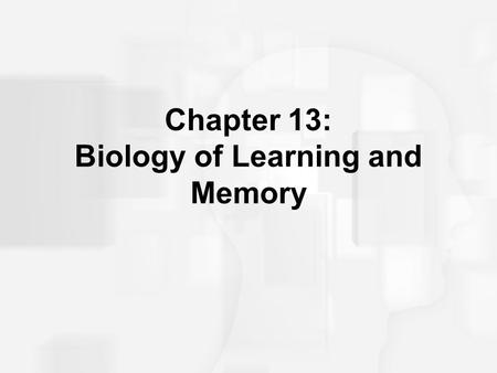 Chapter 13: Biology of Learning and Memory