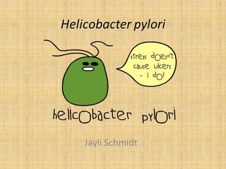 Helicobacter pylori Jayli Schmidt. History Discovered in 1982 by Barry Marshall and Robin Warren – They won the Nobel Prize in 2005 for this discovery.