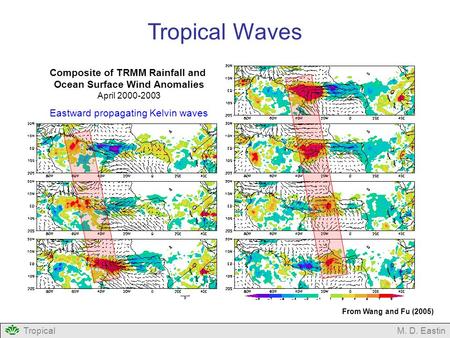 TropicalM. D. Eastin Tropical Waves Composite of TRMM Rainfall and Ocean Surface Wind Anomalies April 2000-2003 Eastward propagating Kelvin waves From.