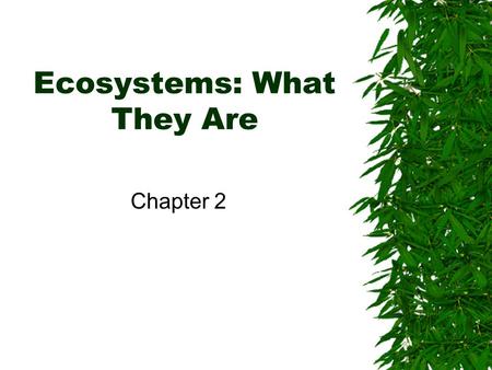 Ecosystems: What They Are Chapter 2. 2.1 Ecosystems: A Description.