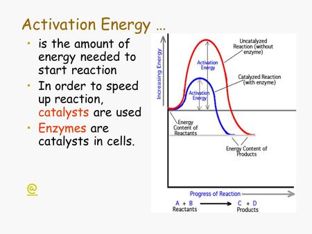 Activation Energy … is the amount of energy needed to start reaction