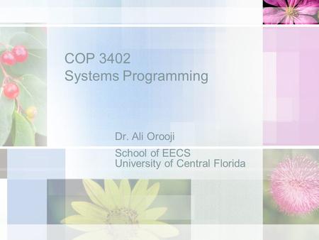 COP 3402 Systems Programming Dr. Ali Orooji School of EECS University of Central Florida.