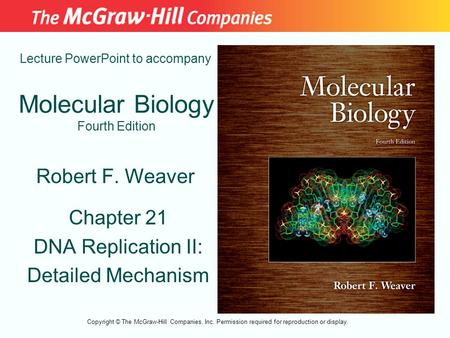 Molecular Biology Fourth Edition Chapter 21 DNA Replication II: Detailed Mechanism Lecture PowerPoint to accompany Robert F. Weaver Copyright © The McGraw-Hill.