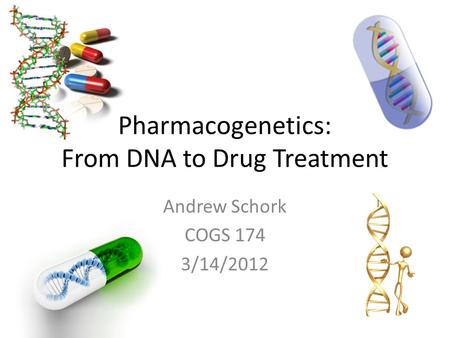 Pharmacogenetics: From DNA to Drug Treatment Andrew Schork COGS 174 3/14/2012.