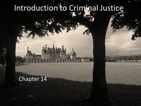 Introduction to Criminal Justice Chapter 14. Evolution of American Juvenile Justice System 1800– juvenile offenders were treated the same as adult offenders.