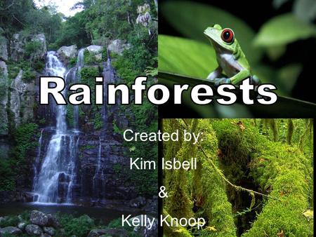 Created by: Kim Isbell & Kelly Knoop. What is a Rainforest? Tropical rainforests are forests with tall trees, warm climate, and lots of rain. In some.