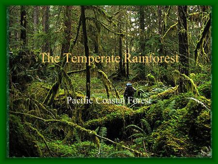 The Temperate Rainforest Pacific Coastal Forest. Climate and Geography Temperate Rainforest is defined as a forest in the mid-latitudes that receives.