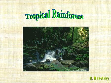 Tropical Rainforest N. Makofsky.