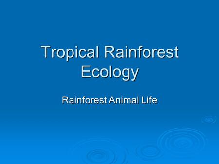 Tropical Rainforest Ecology Rainforest Animal Life.