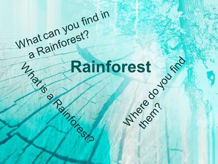 Rainforest What is a Rainforest? Where do you find them? What can you find in a Rainforest?