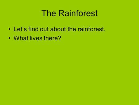 The Rainforest Let’s find out about the rainforest. What lives there?