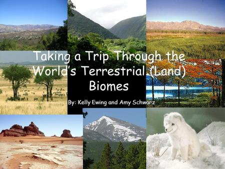 Taking a Trip Through the World’s Terrestrial (Land) Biomes
