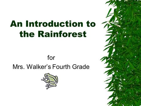 An Introduction to the Rainforest for Mrs. Walker’s Fourth Grade.