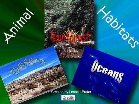 Rainforest Desert Oceans Created by Leanna Prater Credits.