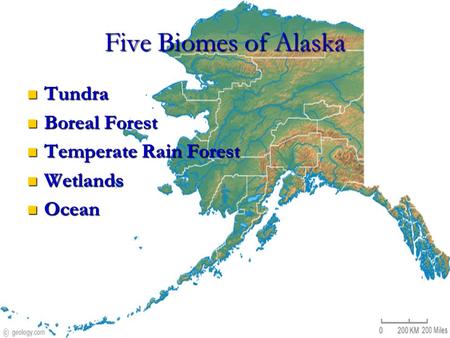 Five Biomes of Alaska Tundra Tundra Boreal Forest Boreal Forest Temperate Rain Forest Temperate Rain Forest Wetlands Wetlands Ocean Ocean.
