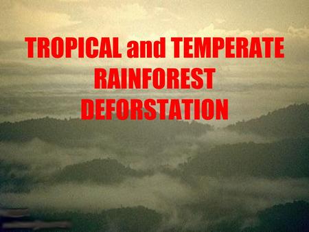 TROPICAL and TEMPERATE RAINFOREST DEFORSTATION