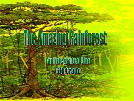 What is a rainforest? Woodland characterized by lush vegetation, comparatively high temperature, and rainfall throughout the year. The world’s most.