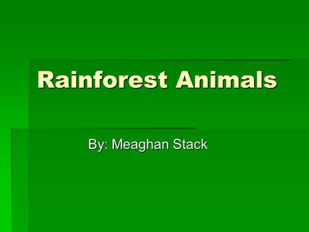 Rainforest Animals By: Meaghan Stack.