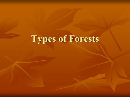 Types of Forests. Tropical (Rainforests) Canopy is often closed (little light reaches below) Canopy is often closed (little light reaches below) A canopy.