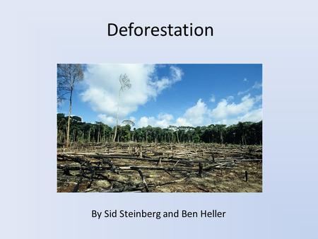 Deforestation By Sid Steinberg and Ben Heller. What is Deforestation? The destruction of forests and trees Has many harmful effects on the environment.