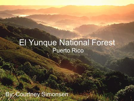 El Yunque National Forest Puerto Rico By: Courtney Simonsen.